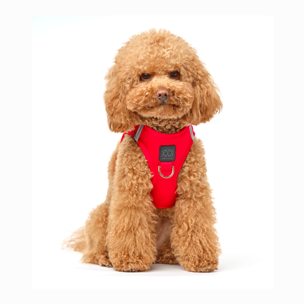 SoHo Dog Harness - Iconic Red