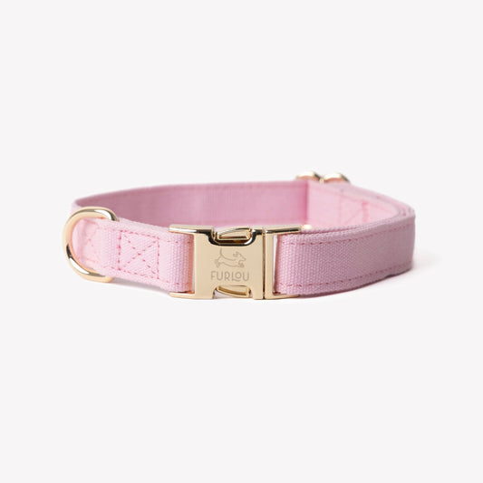 'Pink' - Canvas Dog Collar