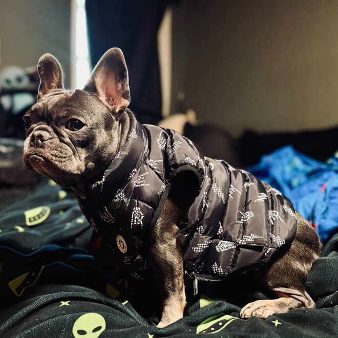 Bolted Bones Puffer Vest