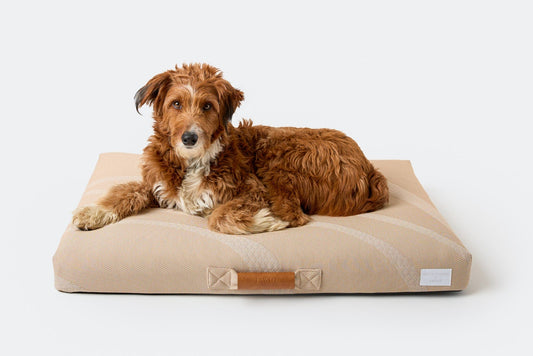 Brigette Romanek | Taupe Dog Bed or Bed Cover