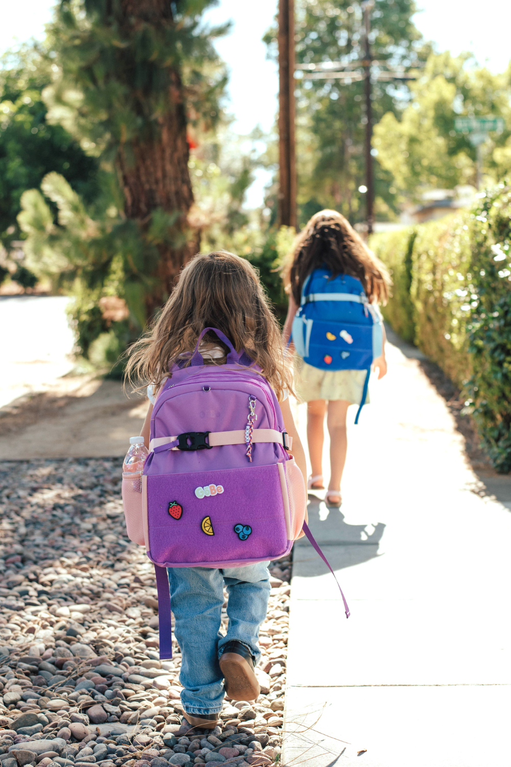 Customizable Backpack