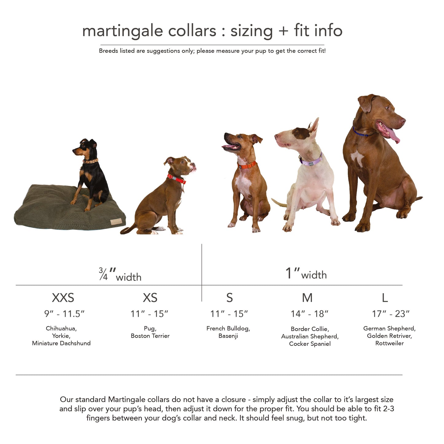 Martingale Dog Collar