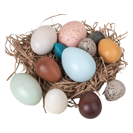12-Piece Wooden Bird Eggs Set – Nature-Inspired Sensory & Pretend Play