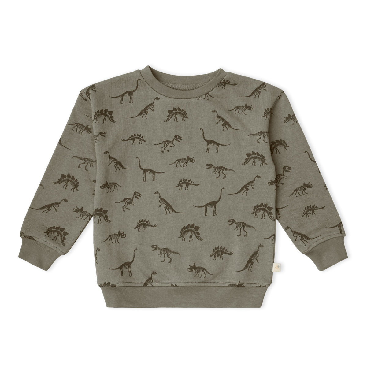 Organic Fleece Sweatshirt - Dino