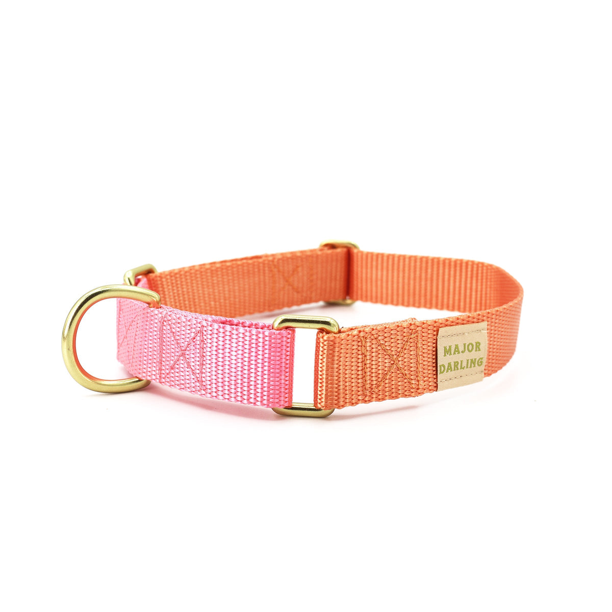 Martingale Dog Collar