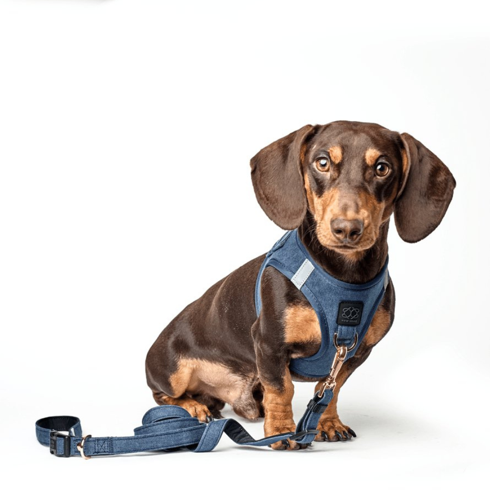 3-in-1 City Dog Leash - Denim