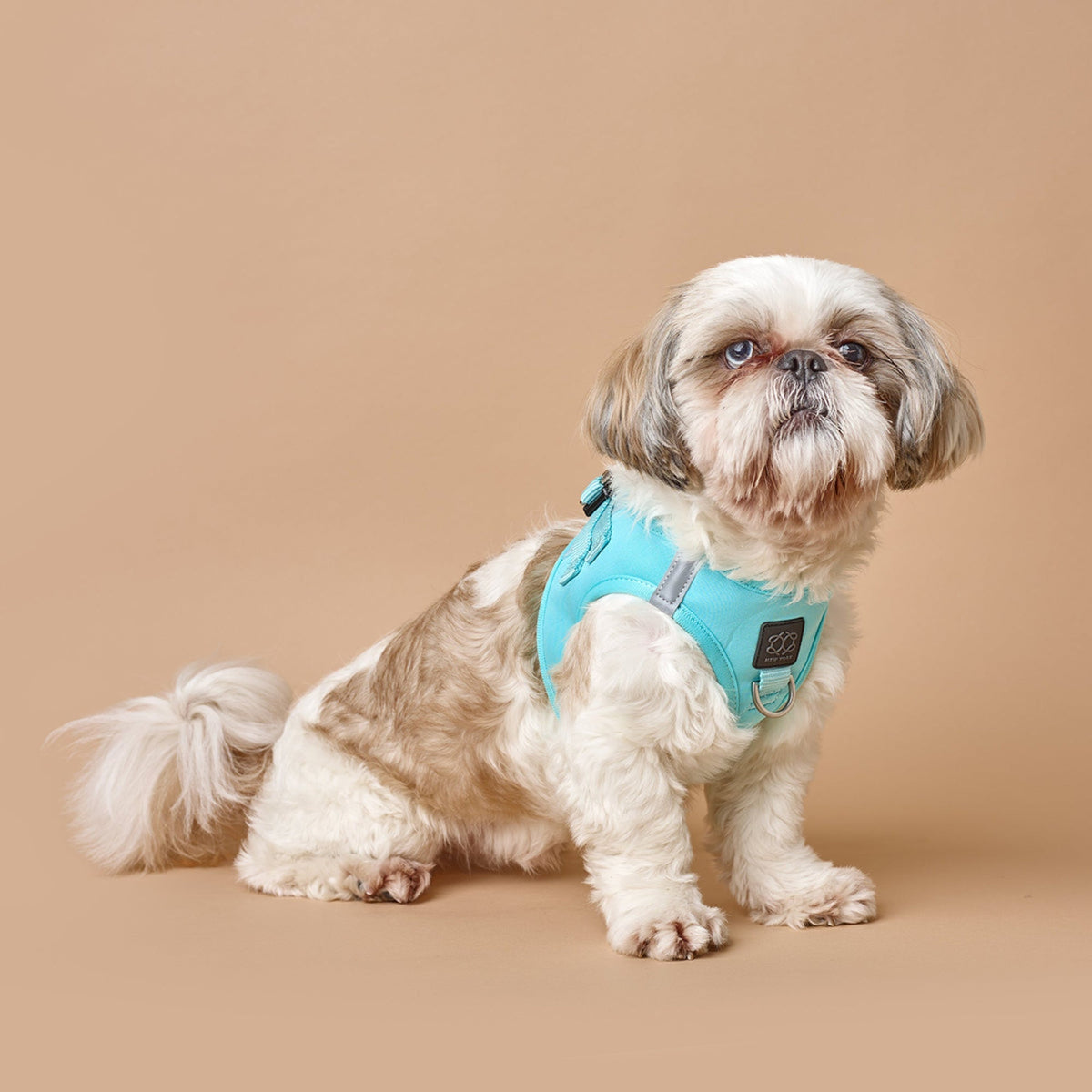 SoHo Dog Harness - Fifth Avenue