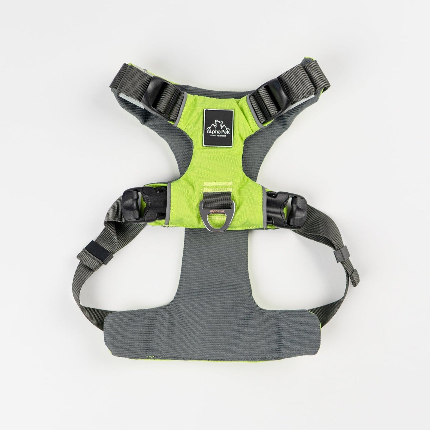 Everyday Adventure Dog Harness