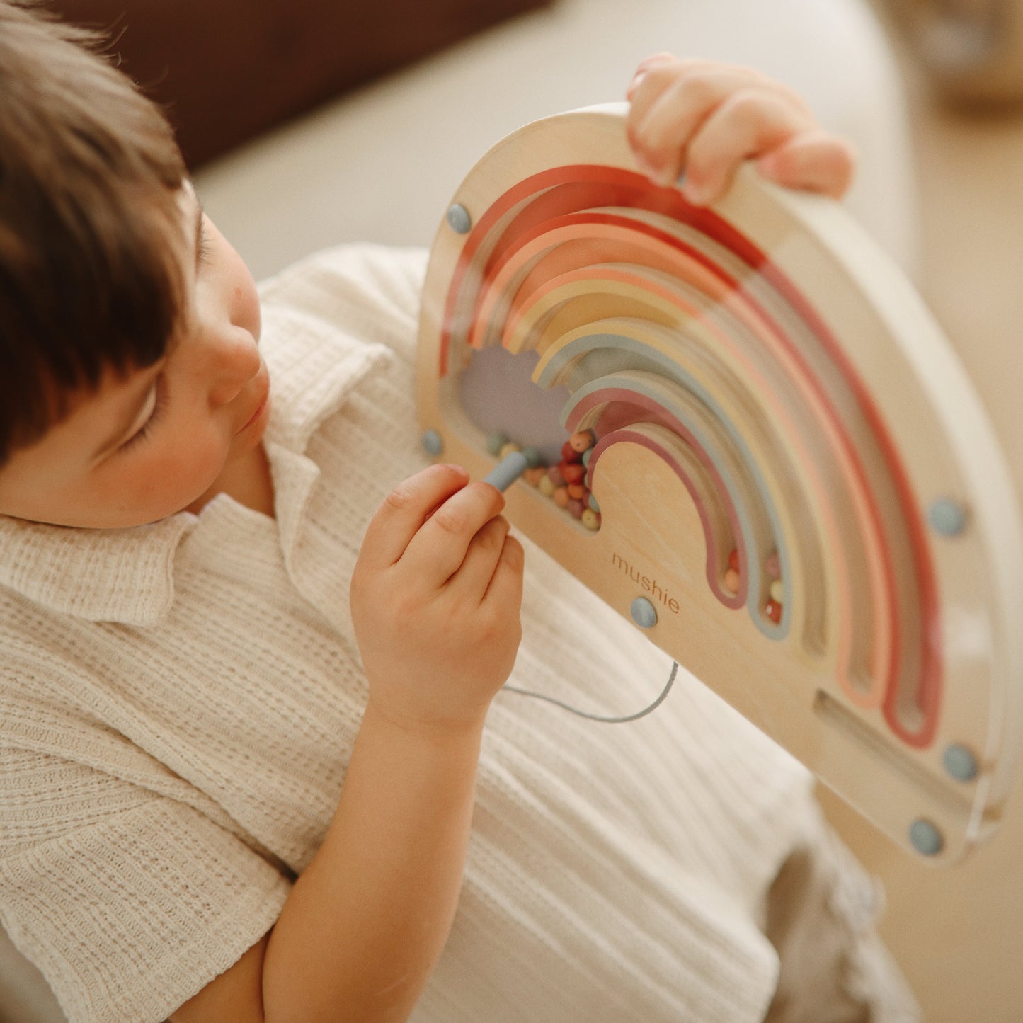 Wooden Magnetic Rainbow Maze