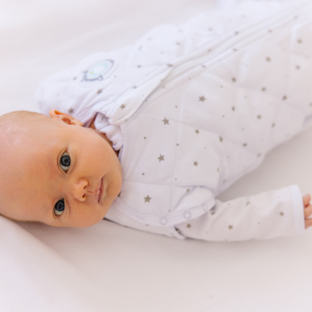Dream Weighted Sleep Swaddle