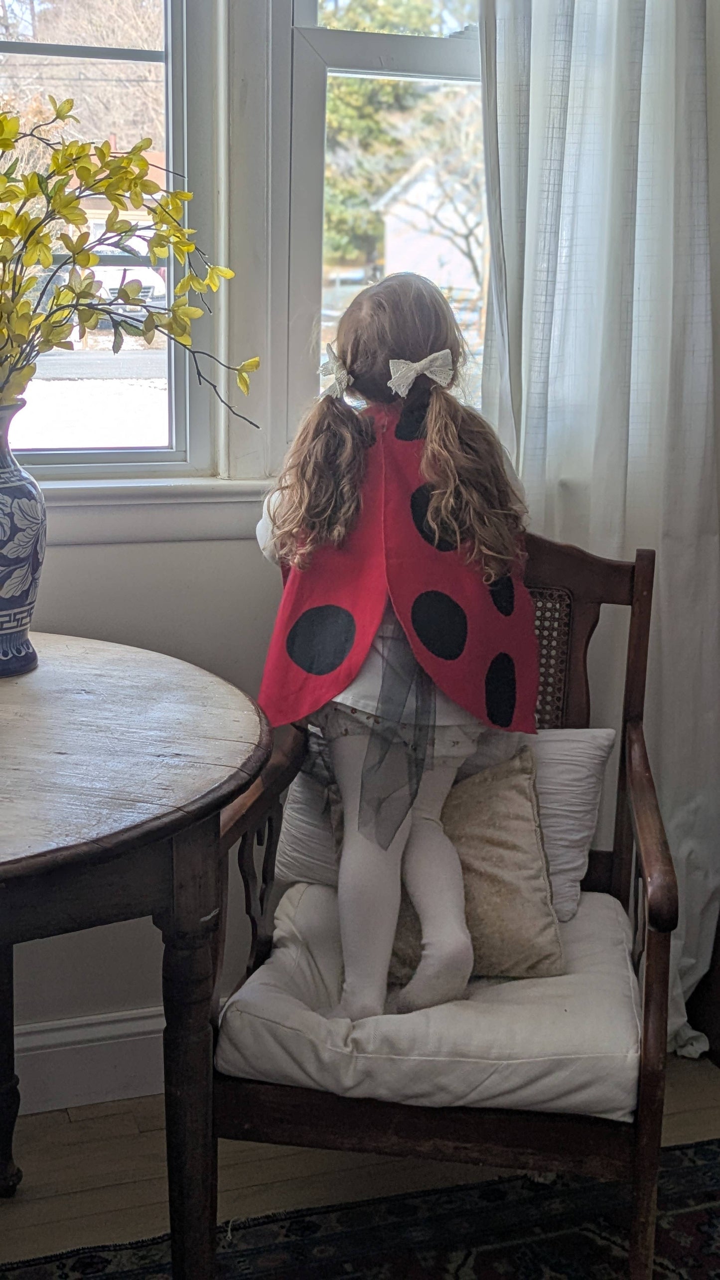 Ladybug Costume Wings