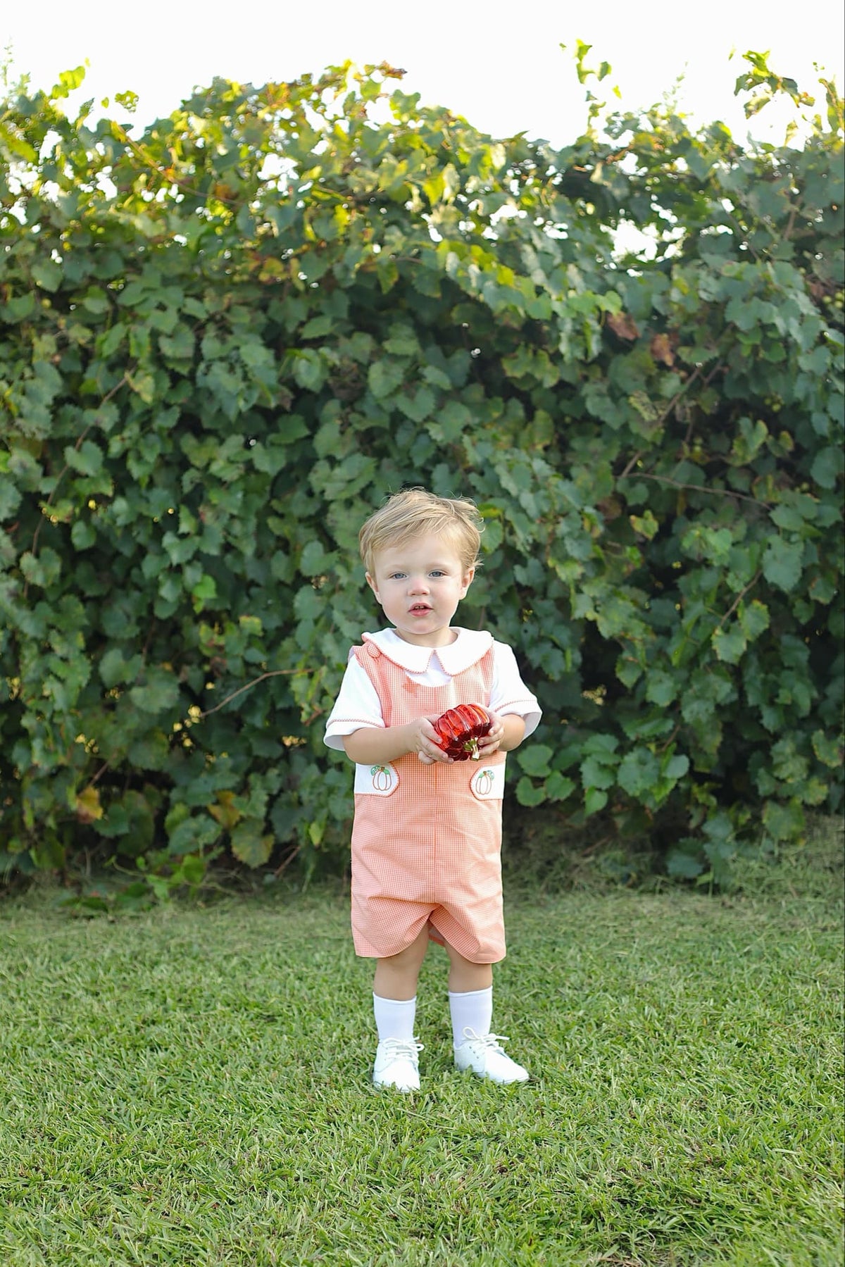 Proper Pumpkins Orange Gingham Shortall and Shirt Set with Pumpkin Embroidered Tabs