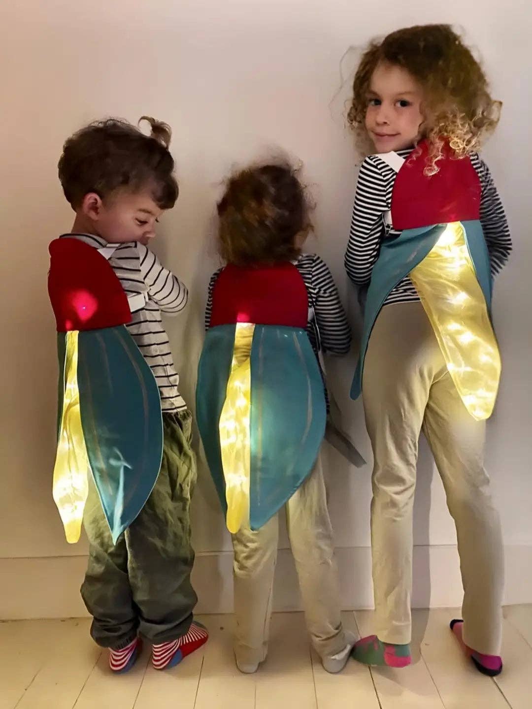 Firefly Wings Costume