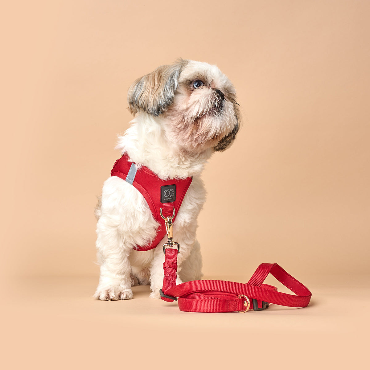 SoHo Dog Harness - Iconic Red