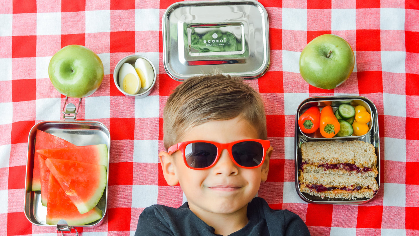 Ecozoi Stainless Steel Bento Lunch Box for Kids and Adults, 3 Compartment, Solid Print, 2 Tier Leak Proof, 60 oz