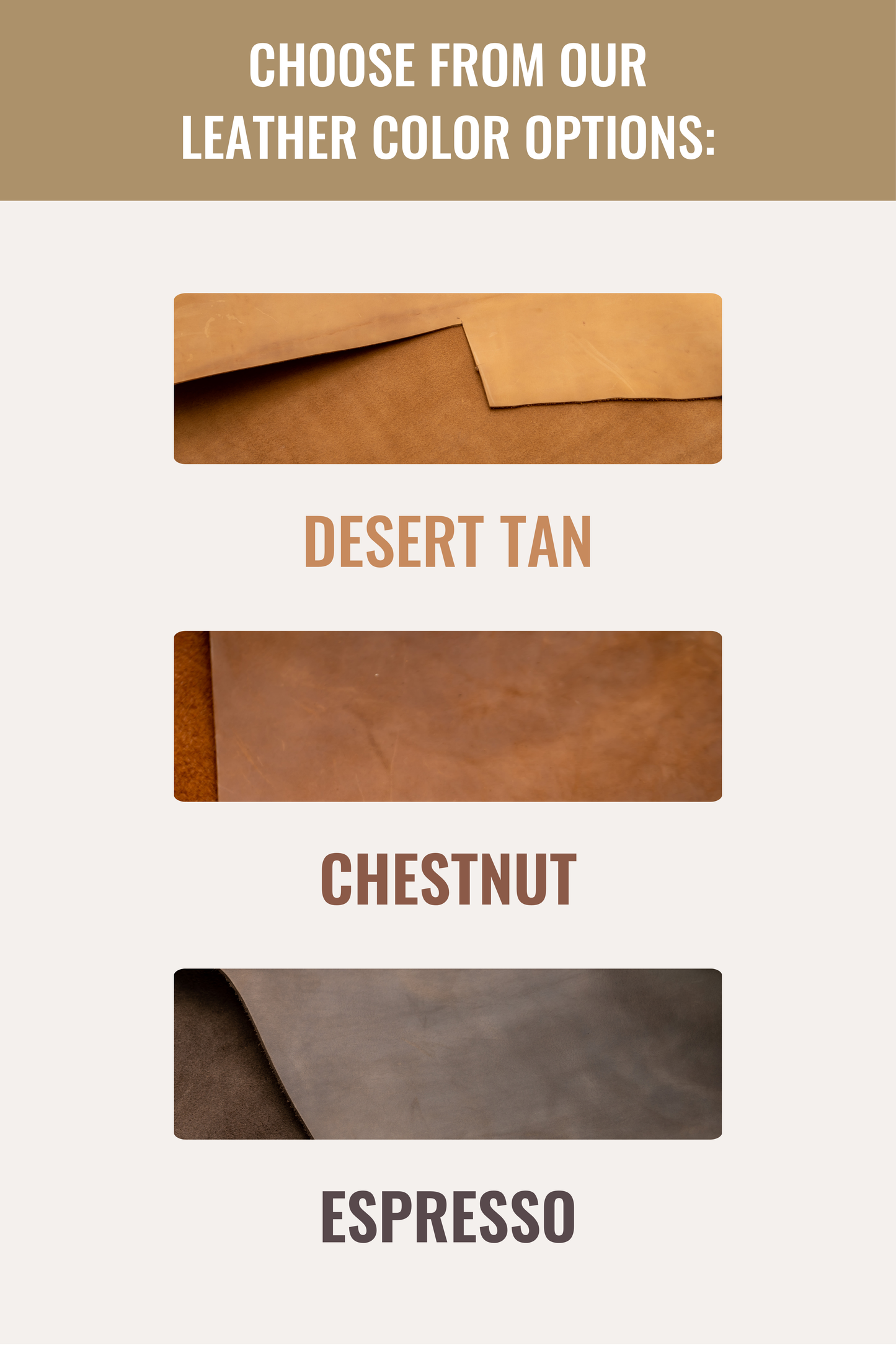 Safari Wallet