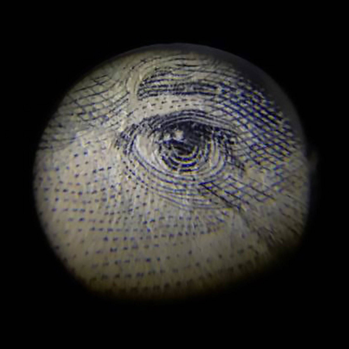 EXPLORE IT! HANDHELD MICROSCOPE