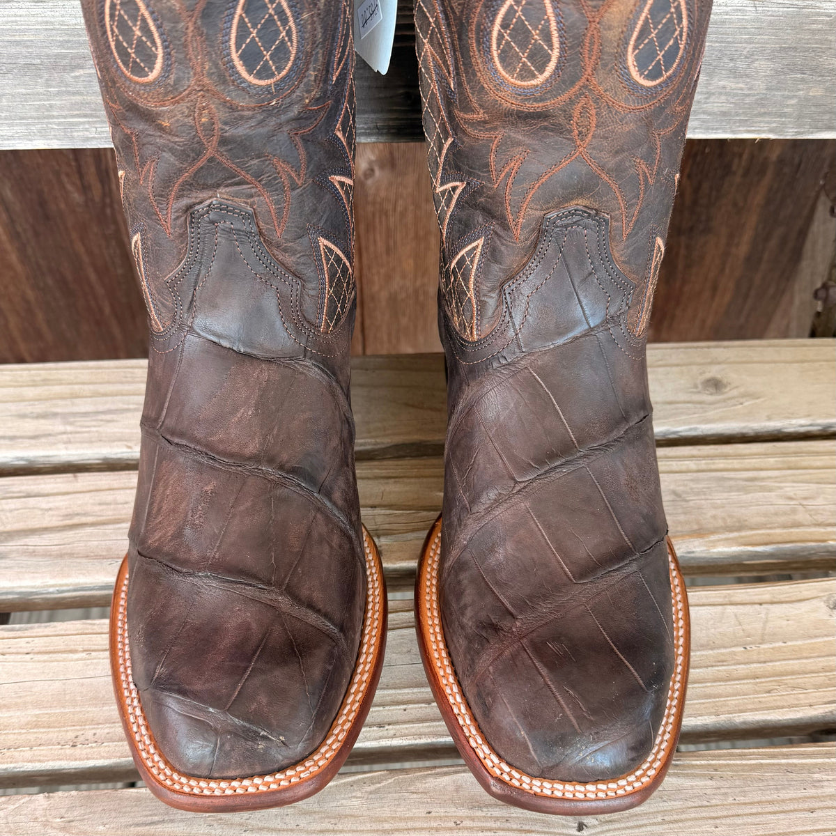 Brown Nubuck Alligator | Stetson Mens