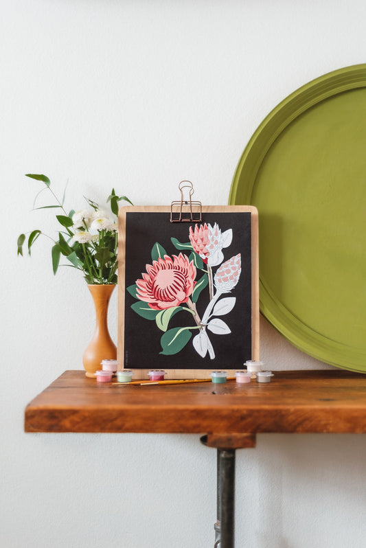 King Protea Blooms (black background) | 8x10 paint-by-number kit