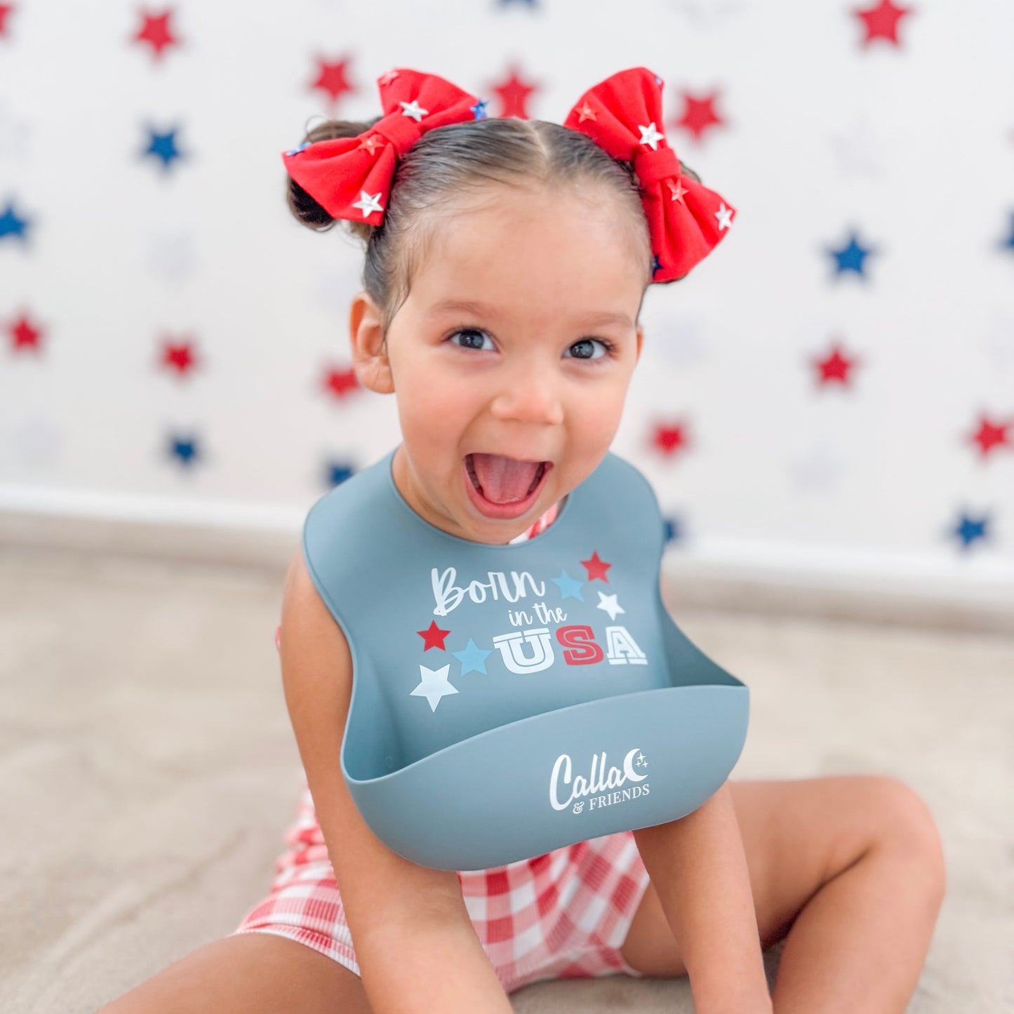 All American Catch All Bib