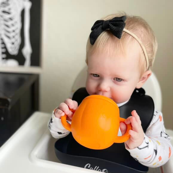 The Pumpkin Patch Straw Cup