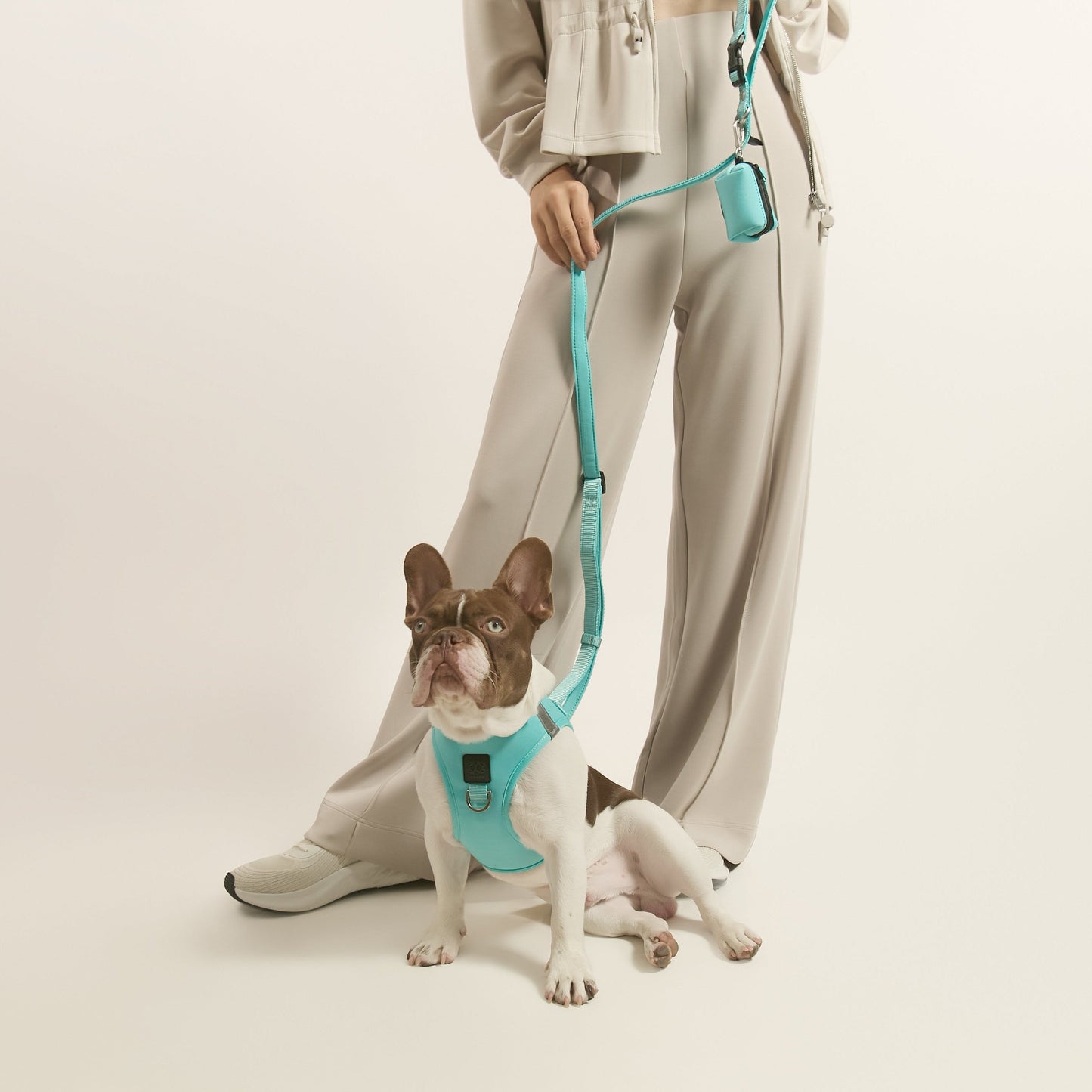 Poop Bag Holder - Fifth Avenue