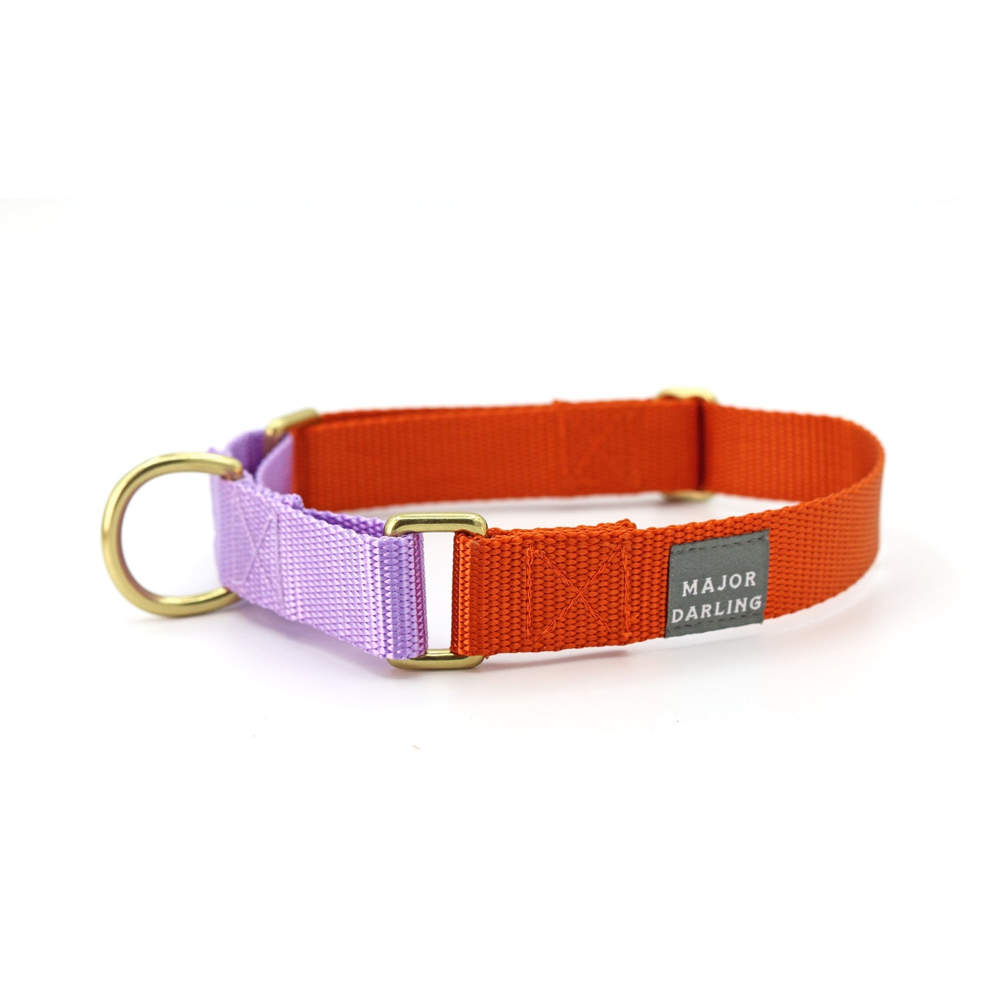 Martingale Dog Collar