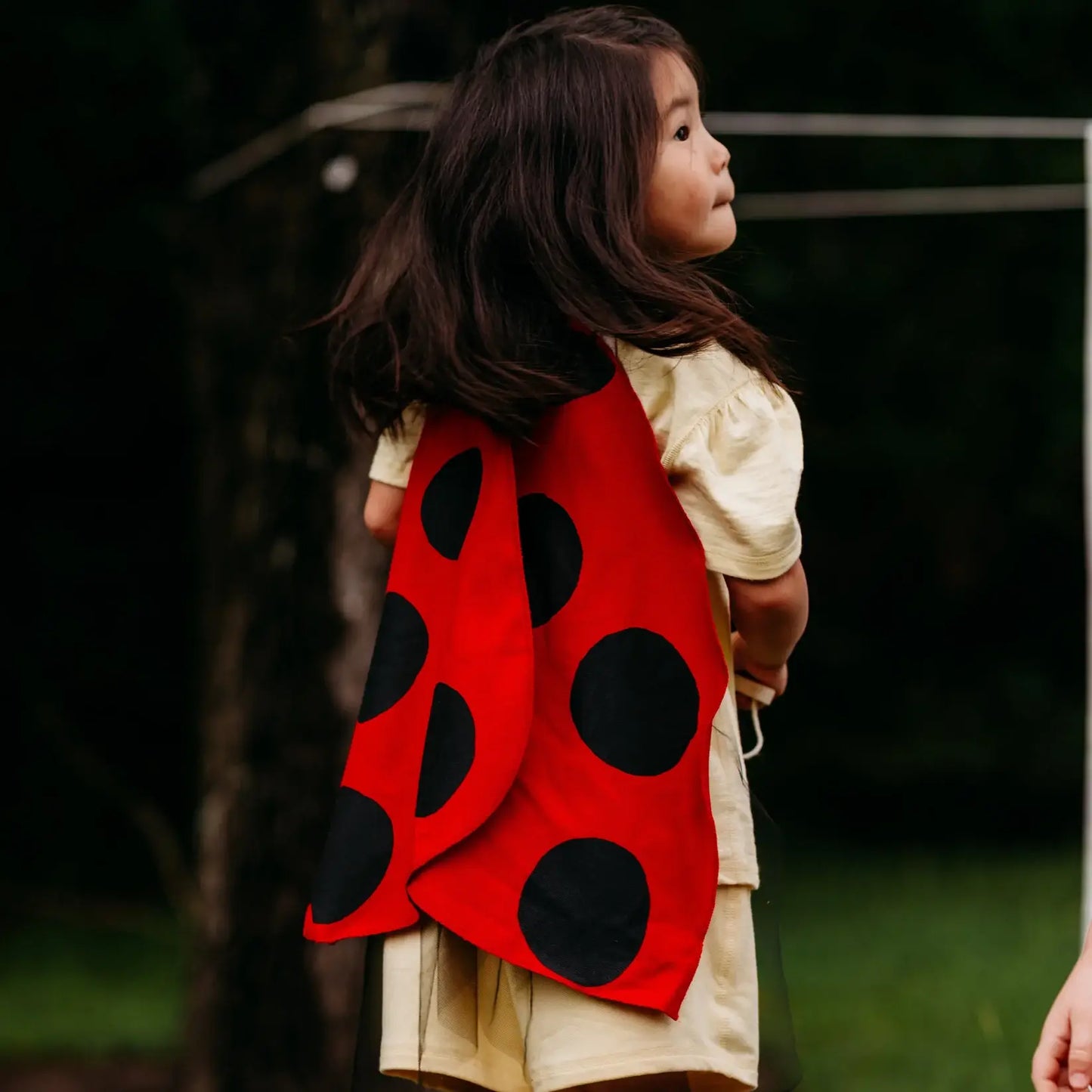 Ladybug Costume Wings