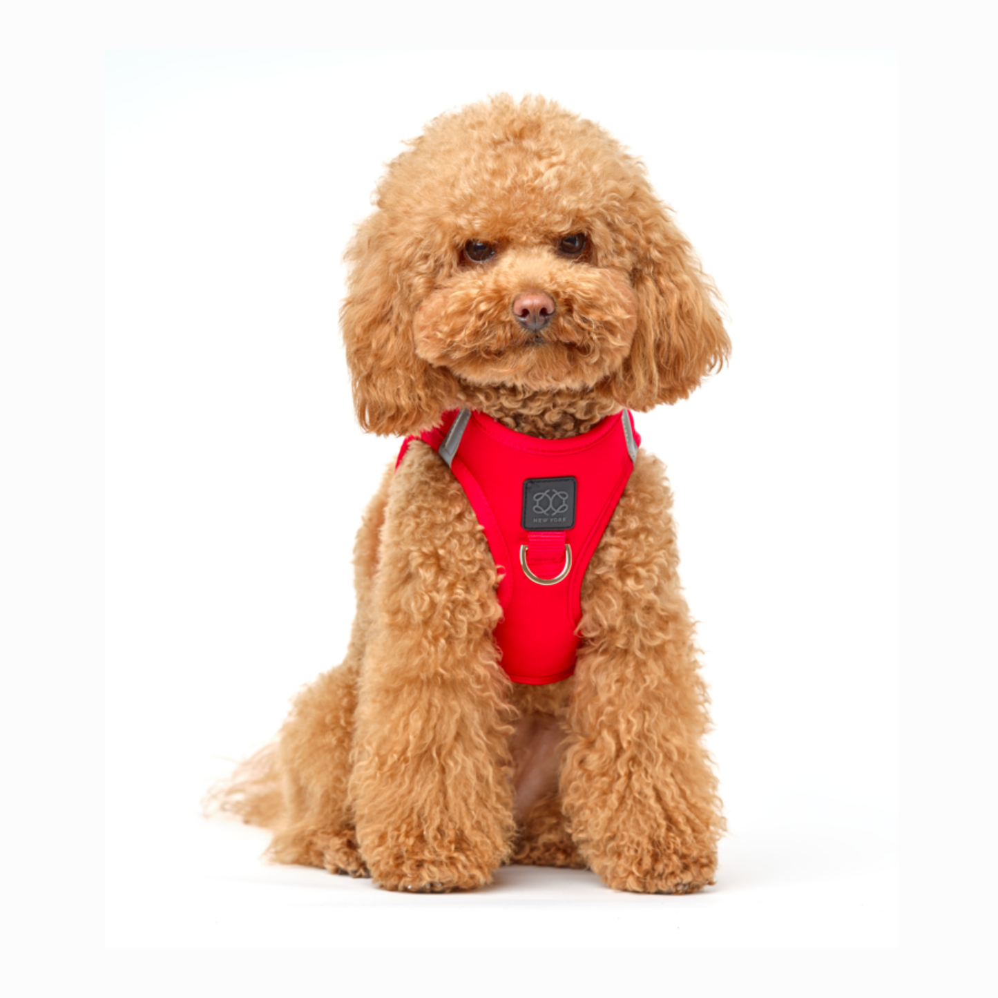 SoHo Dog Harness - Iconic Red