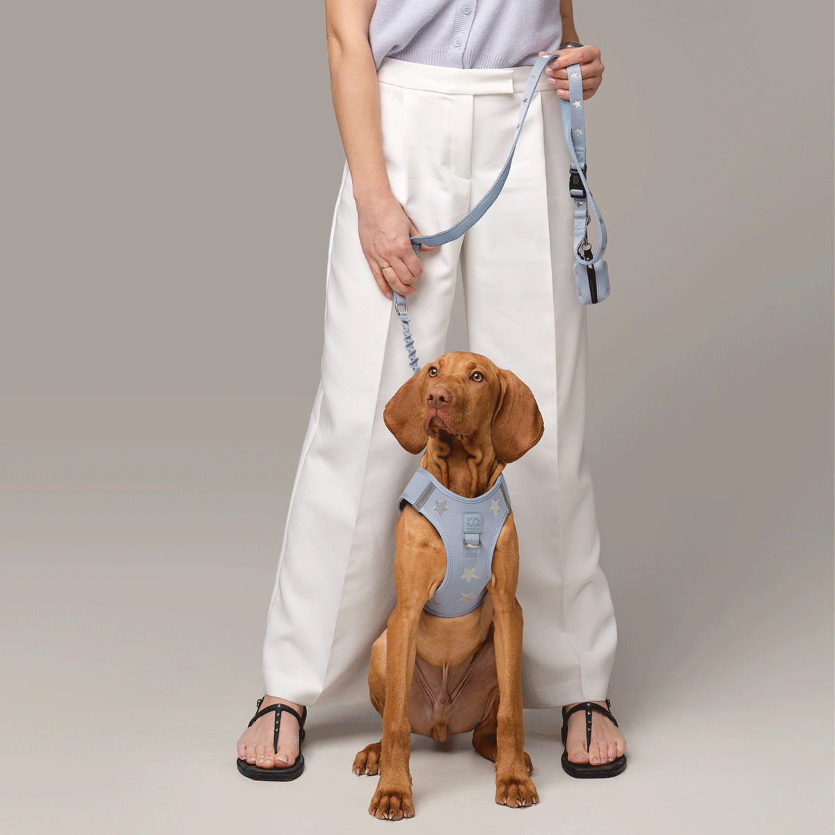 Poop Bag Holder - Rockstar Hudson
