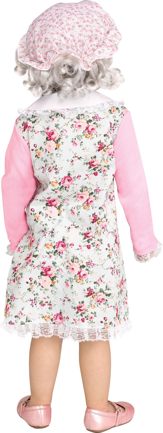Lil Grammy Old Lady 100 Years of School Grandma Toddler Costume Size Small 2T