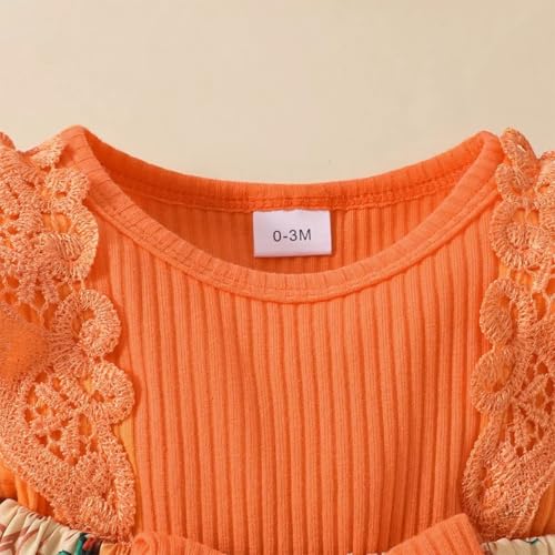 Infant Baby Girl Orange Pumpkin Long Sleeve Lace Romper Dress & Bow Headband 2pcs Halloween Clothing Set