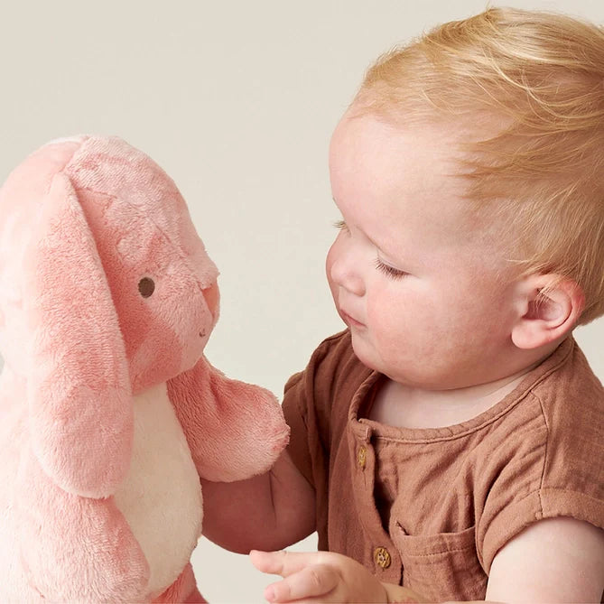Plush Pink Bunny Toy