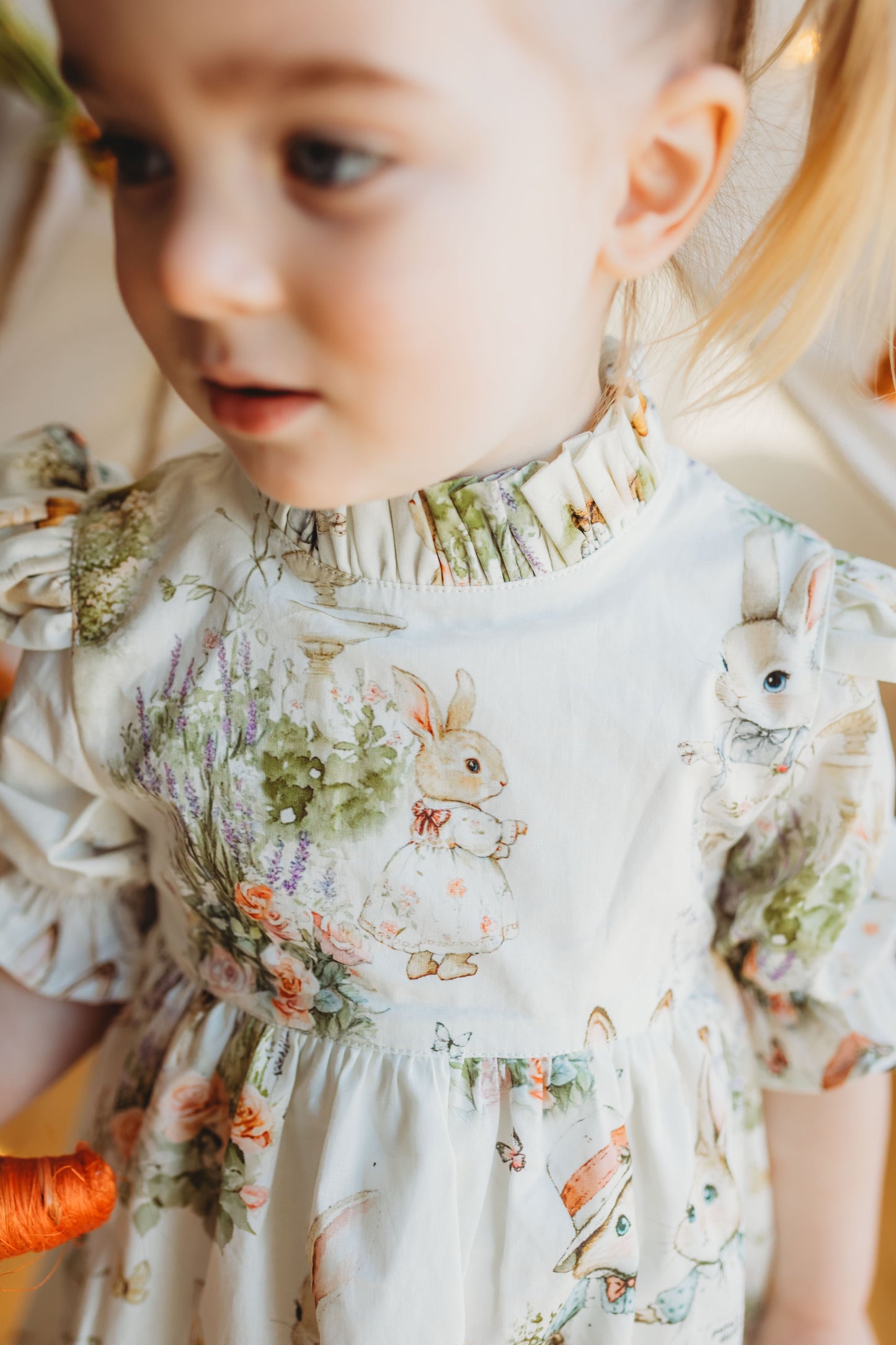 Aoki Dress-Bramble Rabbit Short Sleeve