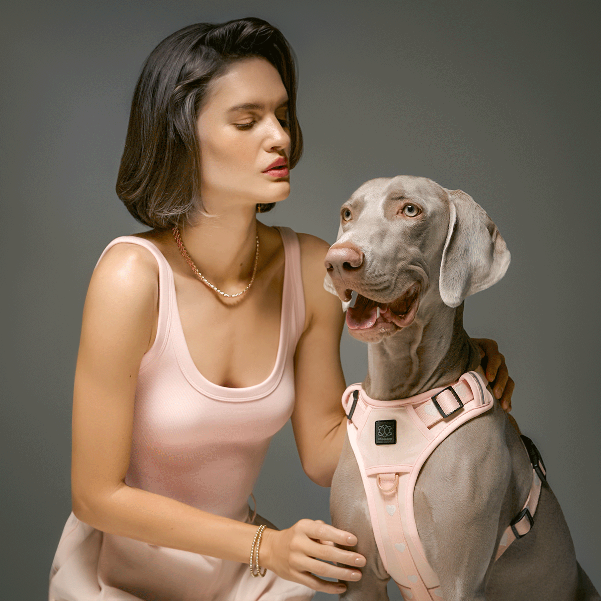 The NoMad Adjustable Luxe Harness - Sweetheart