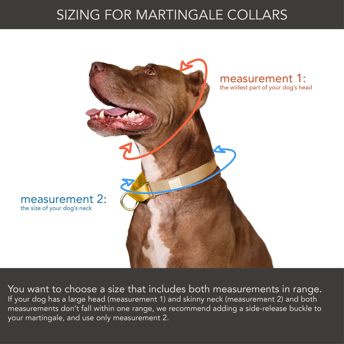 Martingale Dog Collar – Leopard / Peach