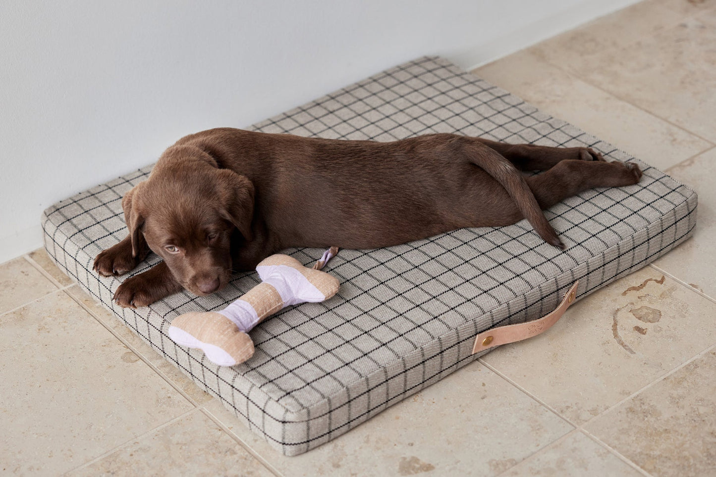Ashi Dog Toy Small - Lavender/Amber