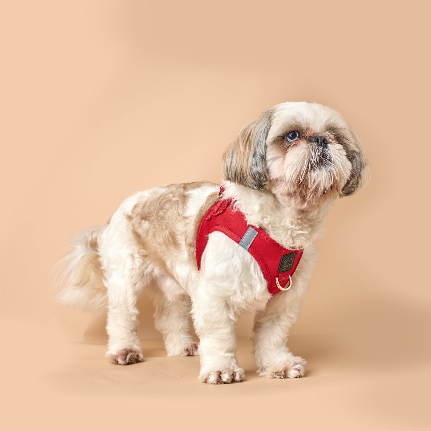 SoHo Dog Harness - Iconic Red