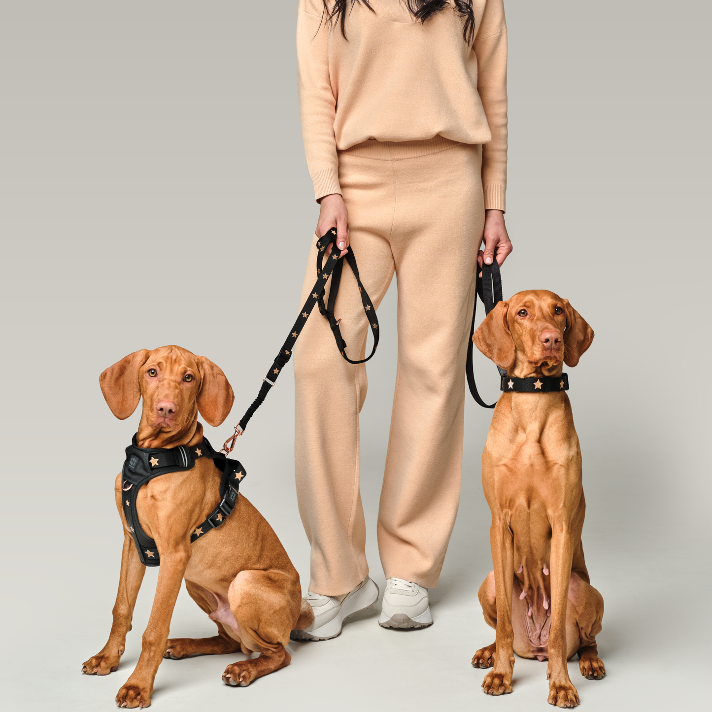 The NoMad Adjustable Luxe Harness - Rockstar