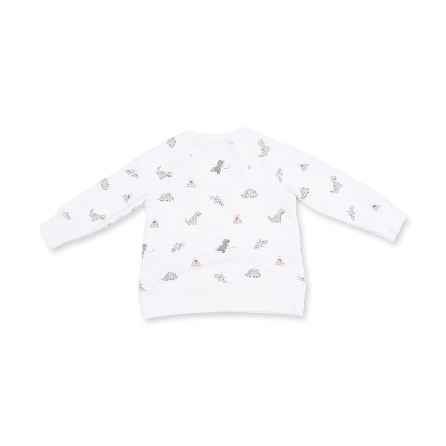 Dinos French Terry - Raglan Sweatshirt