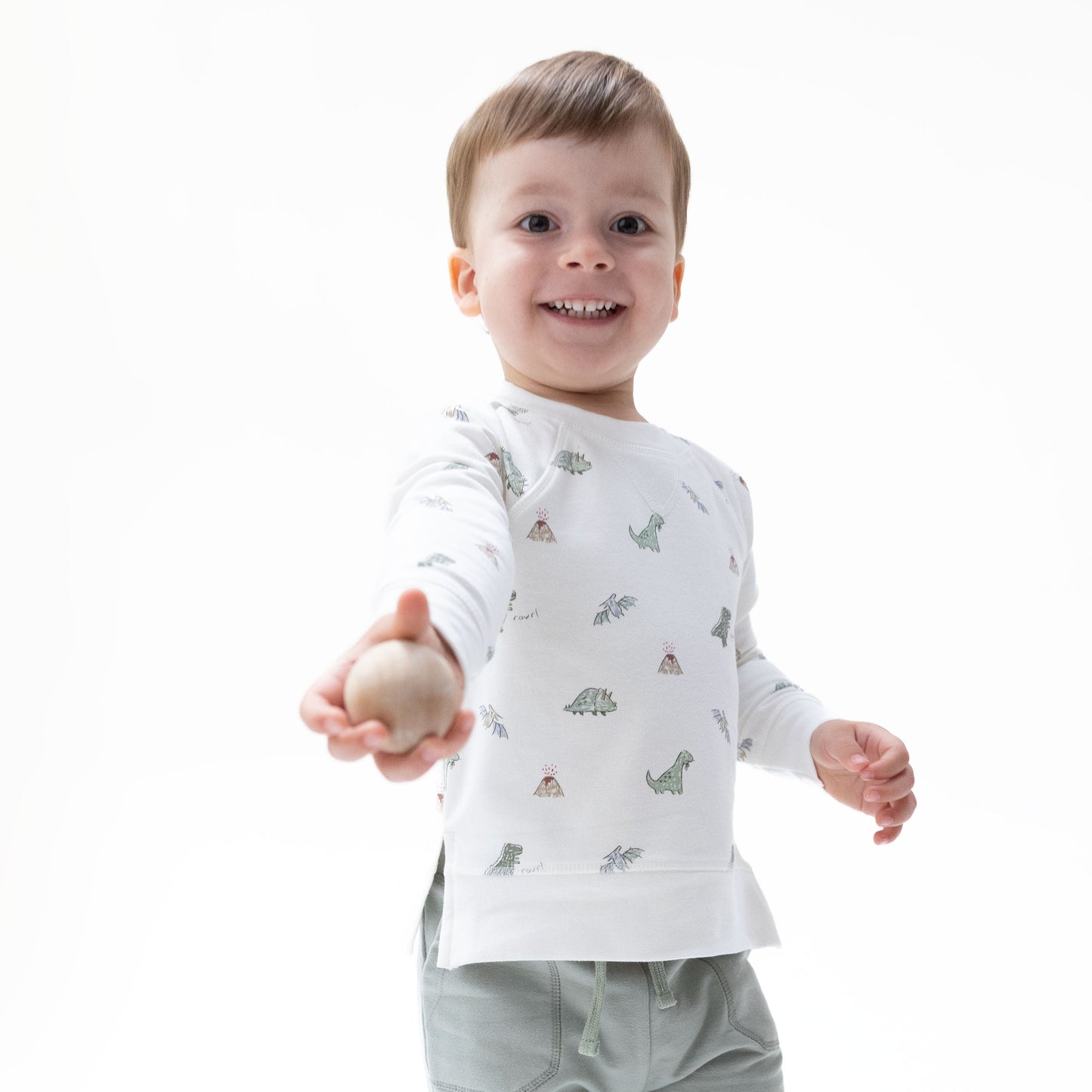 Dinos French Terry - Raglan Sweatshirt