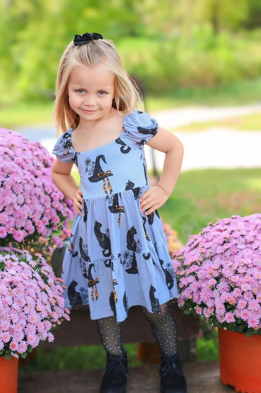 Vintage Salem Puff Sleeve Twirl Dress
