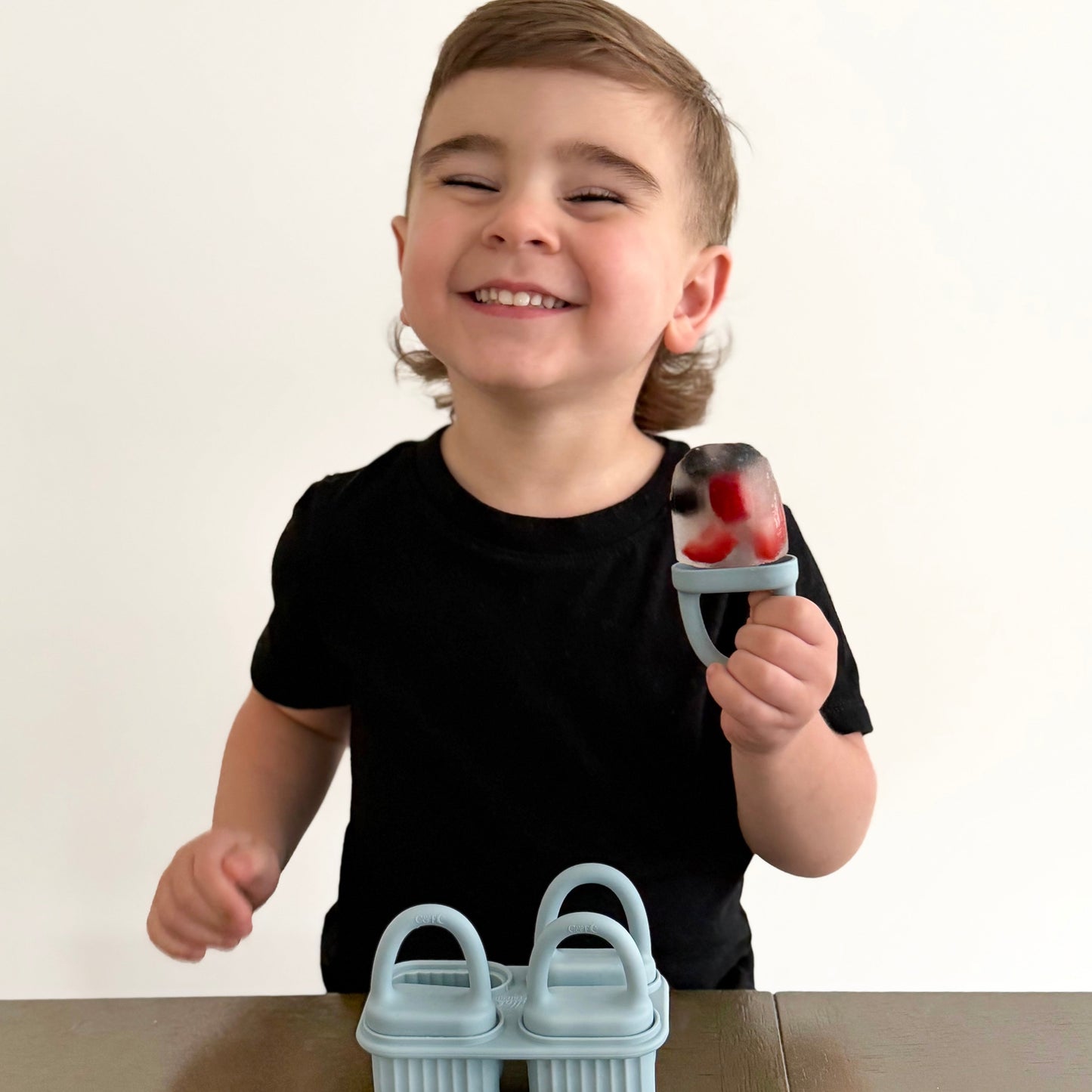 Sunny Pops Popsicle Molds