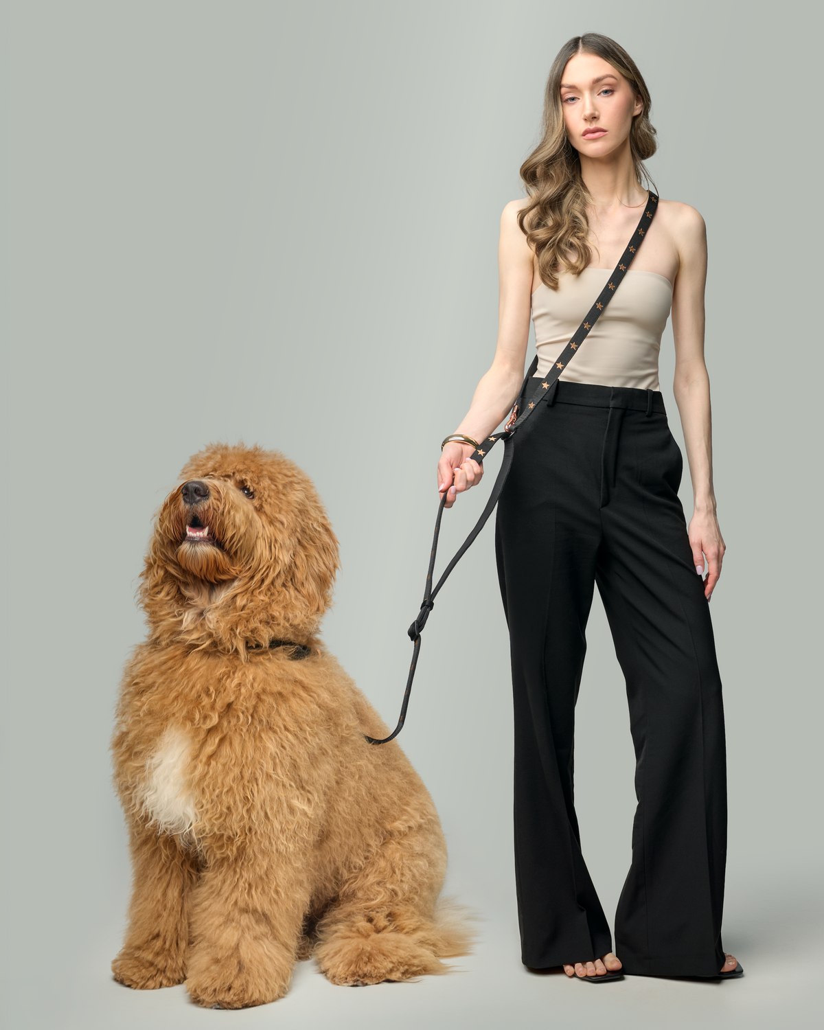 Metro Hands Free Leash - Rockstar