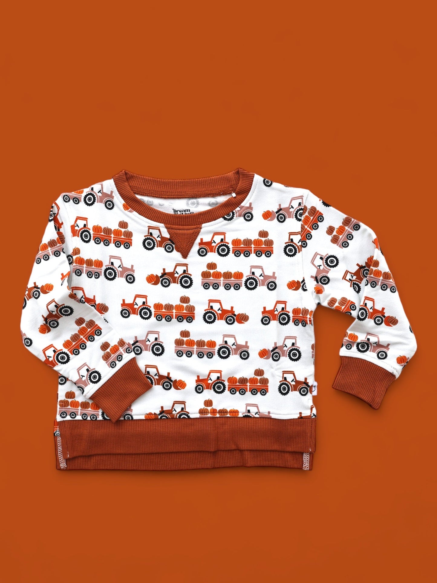 HAY PUMPKIN DREAM PULLOVER