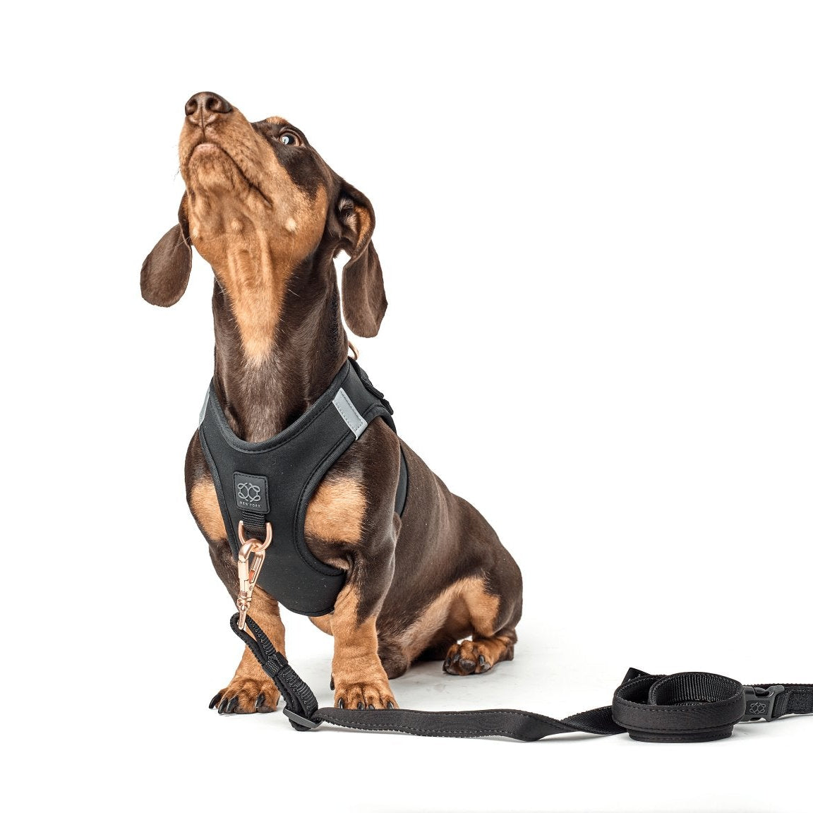 SoHo Dog Harness - Black