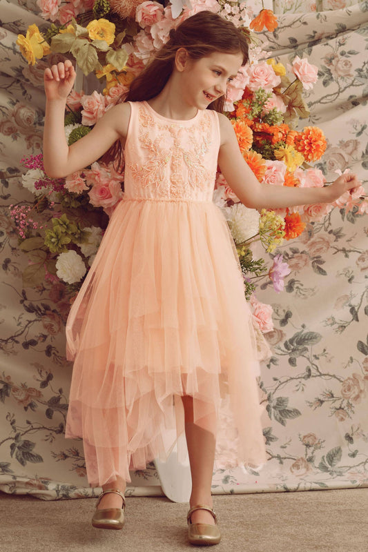 Whimsical Layered Tulle Toddler Dress