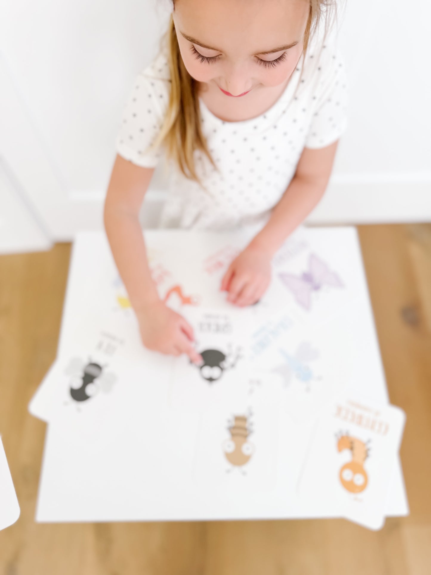 Bugs Flashcards