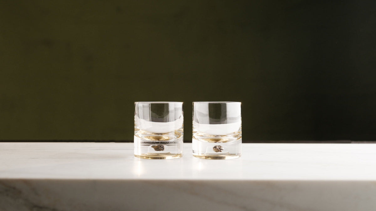 Meteorite Crystal Tumbler - Set of 2