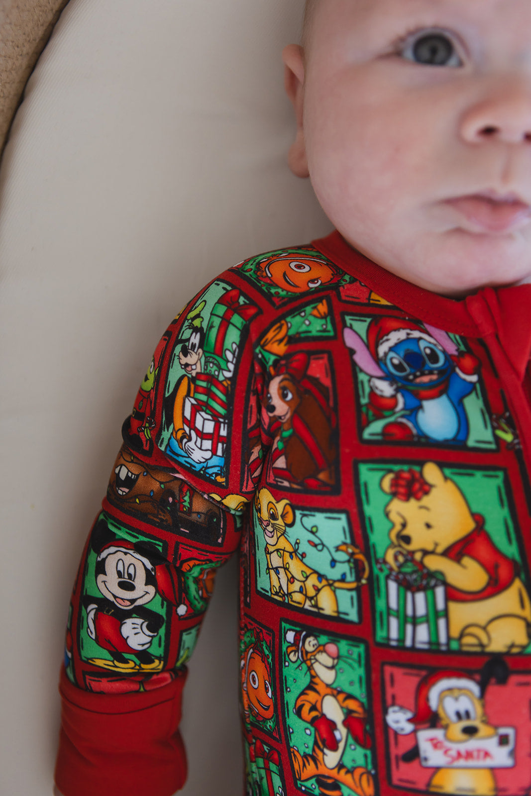 Countdown to Christmas - Zippy